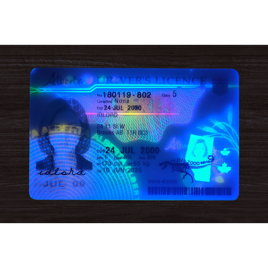 Alberta (Alta) Fake DL (2026 Version)